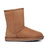 Men's UGG Classic Short Gen II in Chestnut | Red Kado